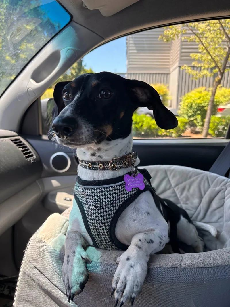 Morty thumbnail 5