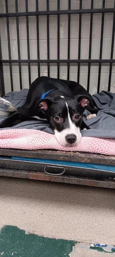 Sprinkles thumbnail 2