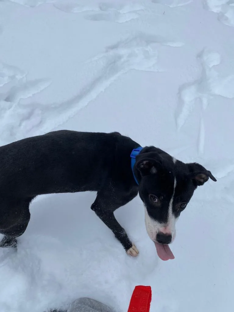 Sprinkles thumbnail 5