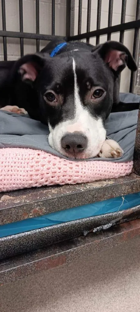 Sprinkles thumbnail 6