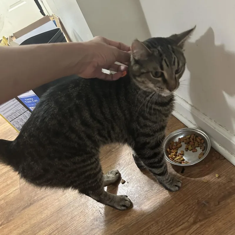 Emmett  Home To thumbnail 2