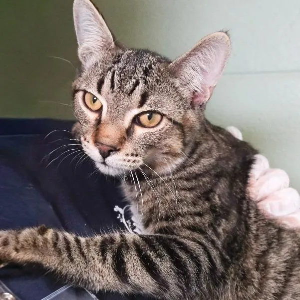 Emmett  Home To thumbnail 3