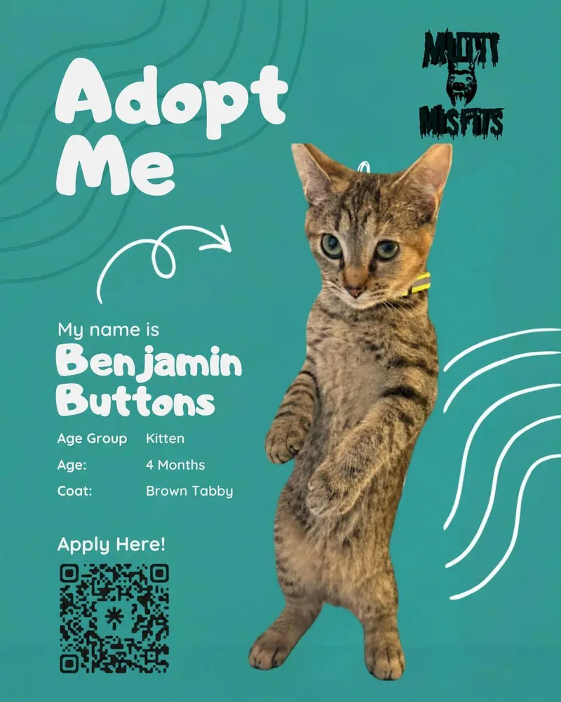 Benjamin Buttons thumbnail 2