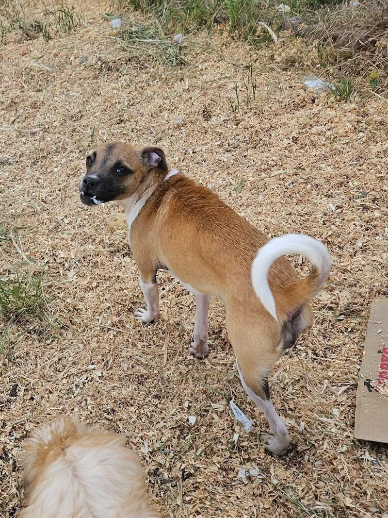 Mary Puppins thumbnail 4