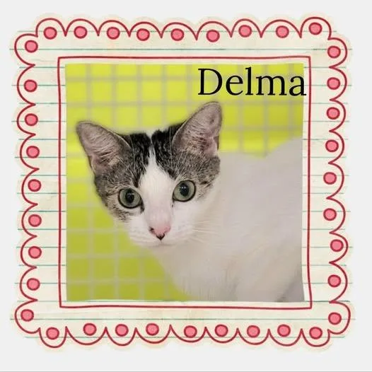 Penny Prior Delma thumbnail 4