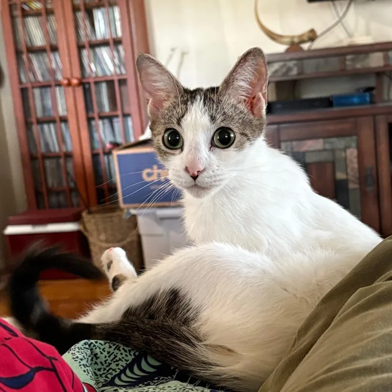 Penny Prior Delma thumbnail 5