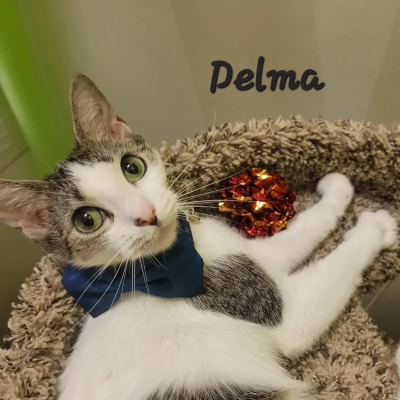 Penny Prior Delma thumbnail 6