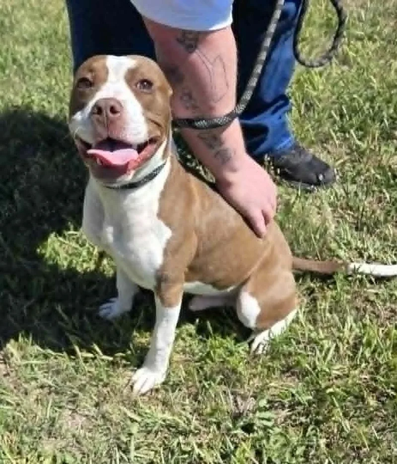 Bubba