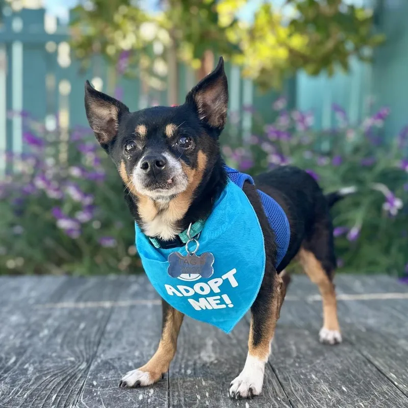 Osmosis Jones thumbnail 2