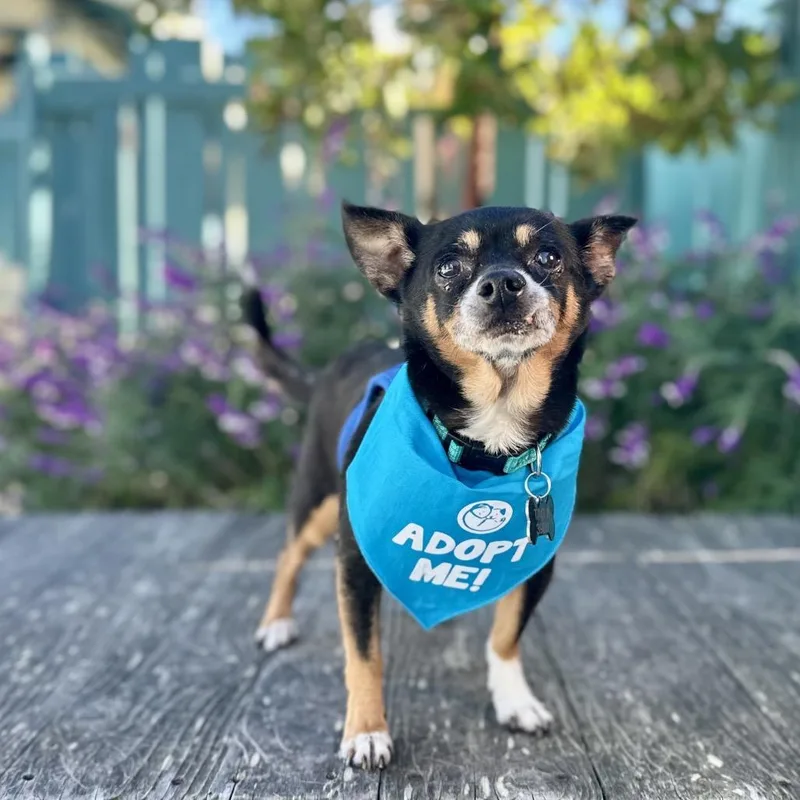 Osmosis Jones thumbnail 3