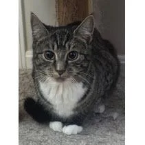 Italy Angel  Needs thumbnail 3