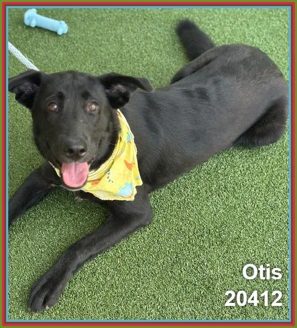 Otis thumbnail 2