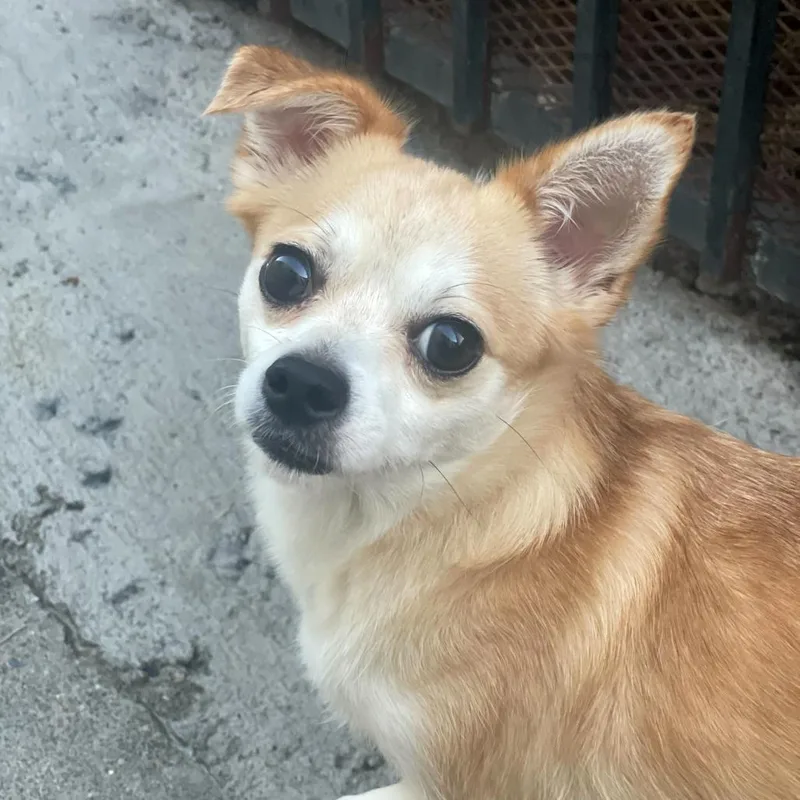 Baby Girl thumbnail 2