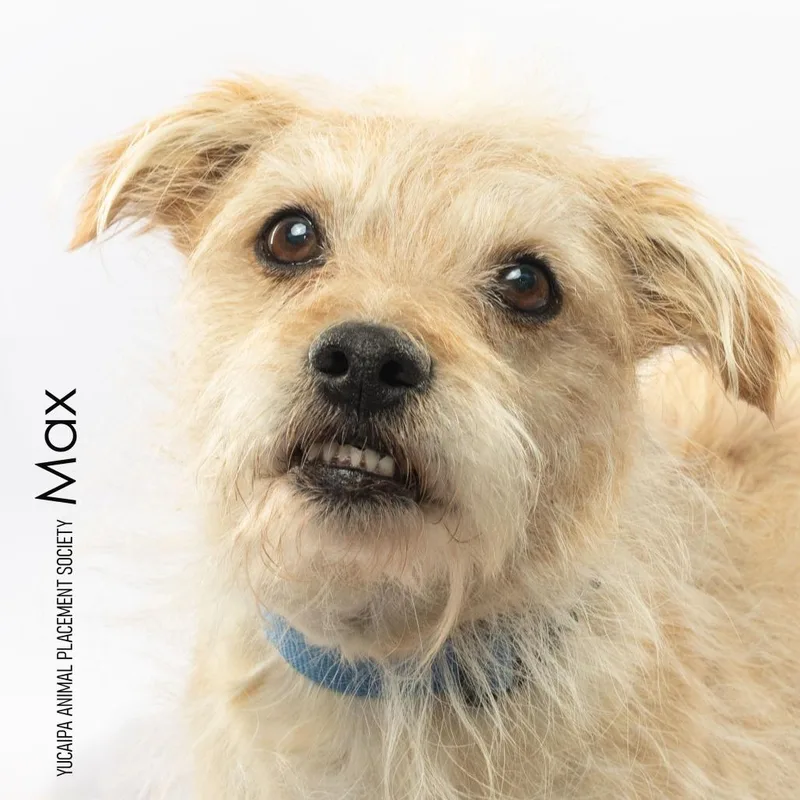 Max