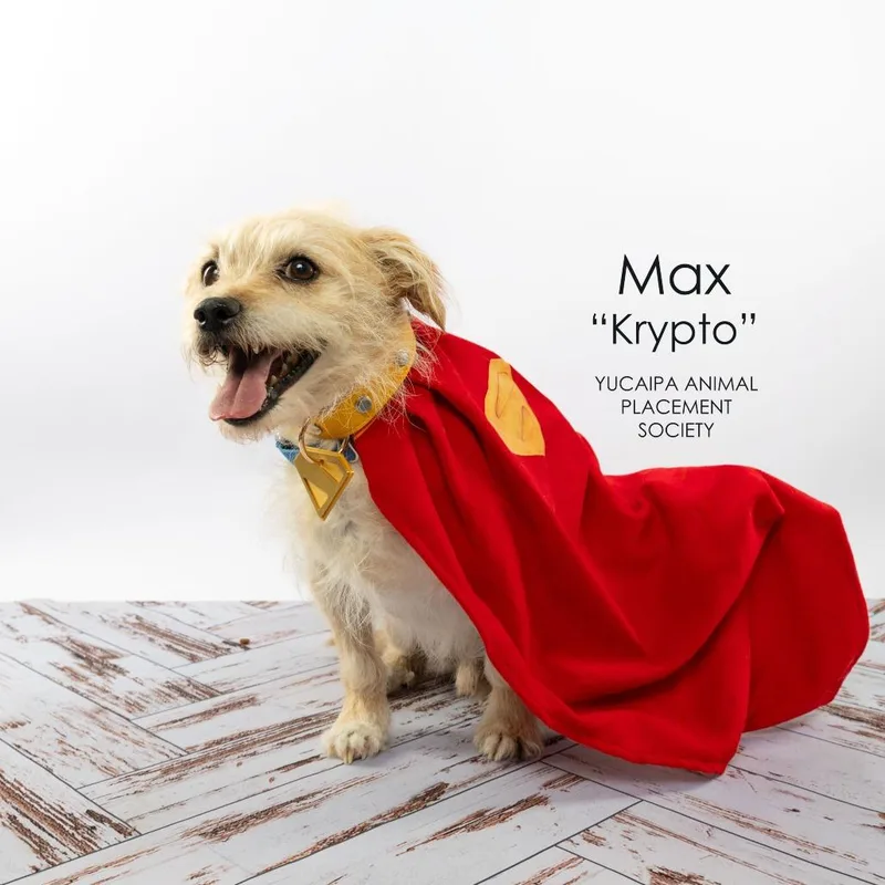 Max thumbnail 2