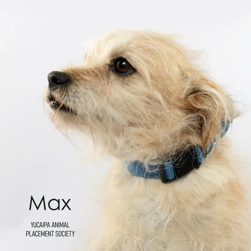 Max thumbnail 5