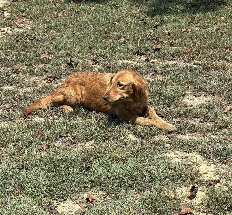 Little Ann thumbnail 2