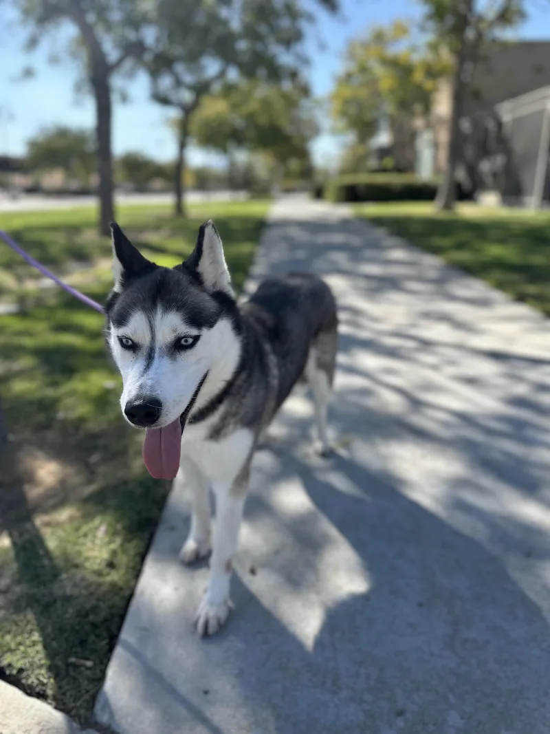 Cloud thumbnail 3
