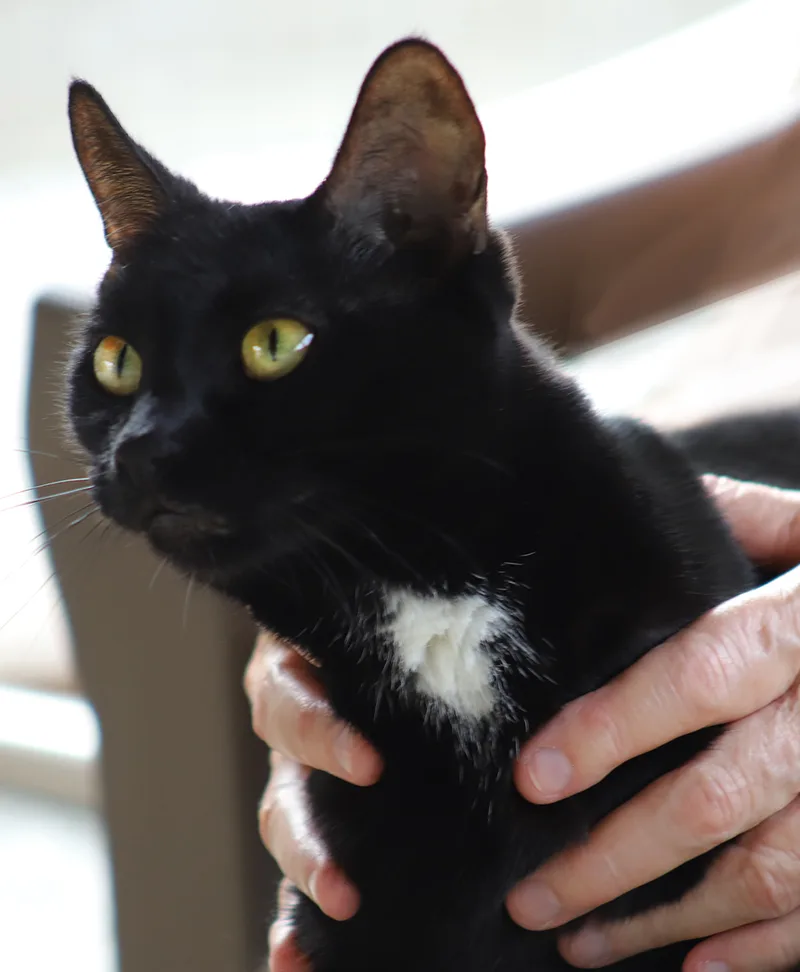 Julia  Csc thumbnail 6