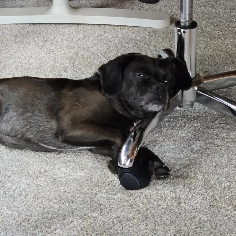 Pugsley