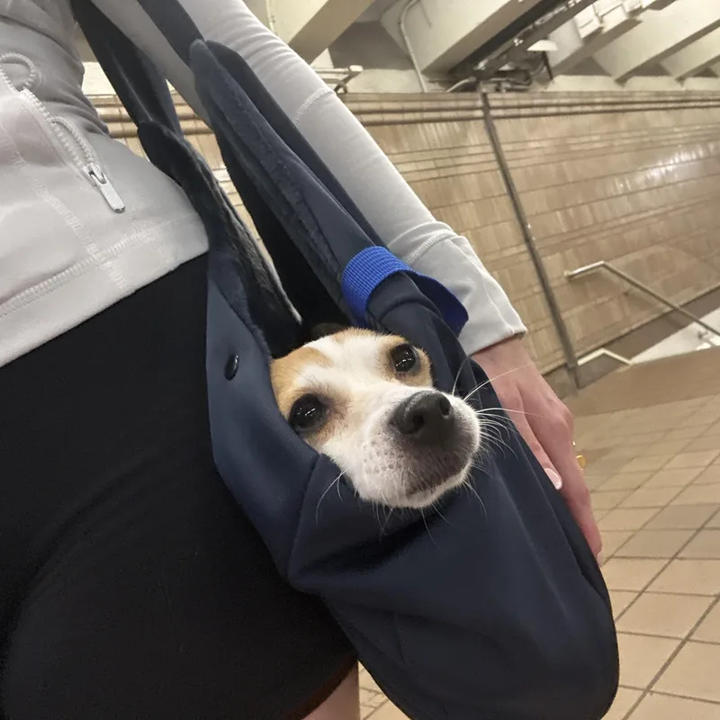 Winnie