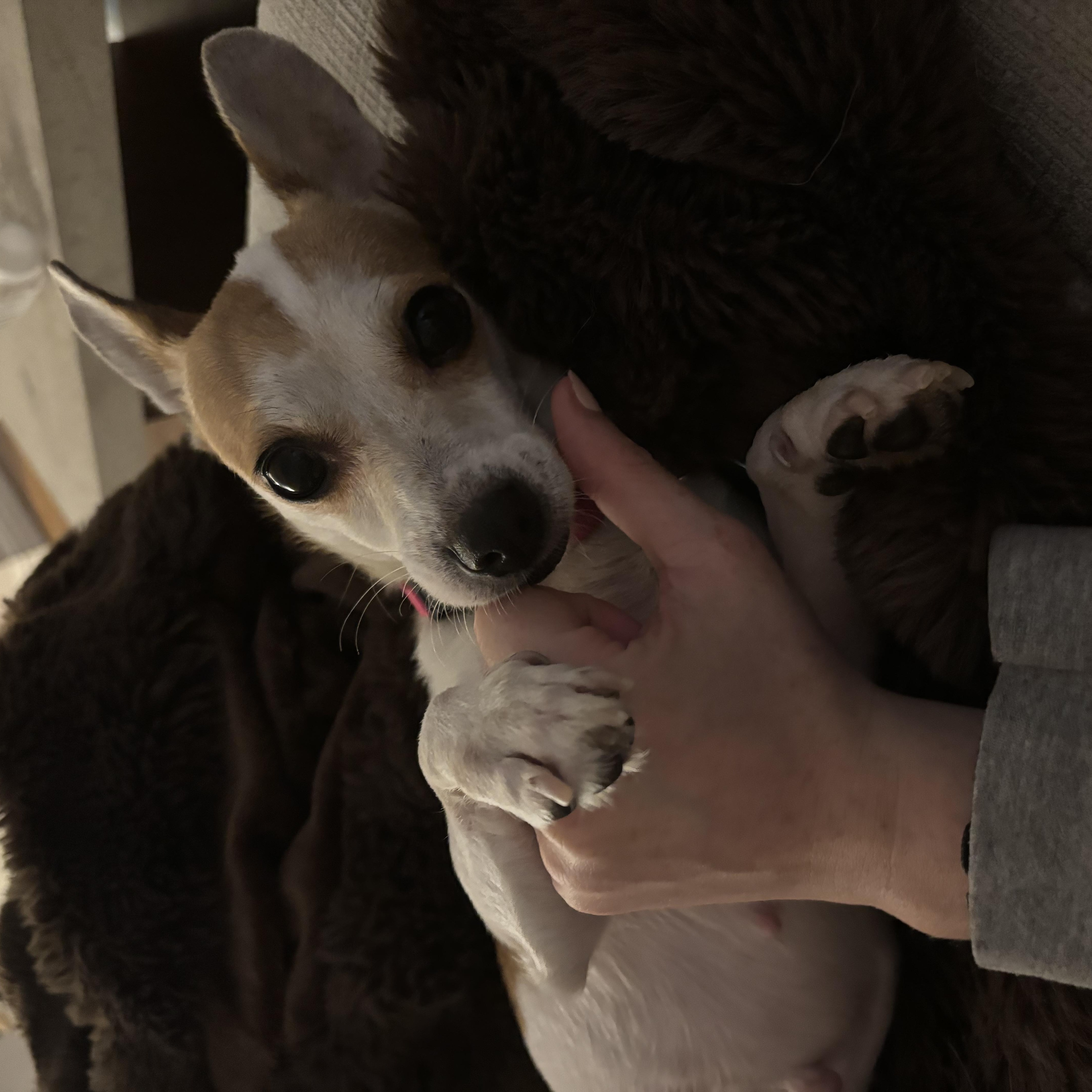 Winnie thumbnail 5