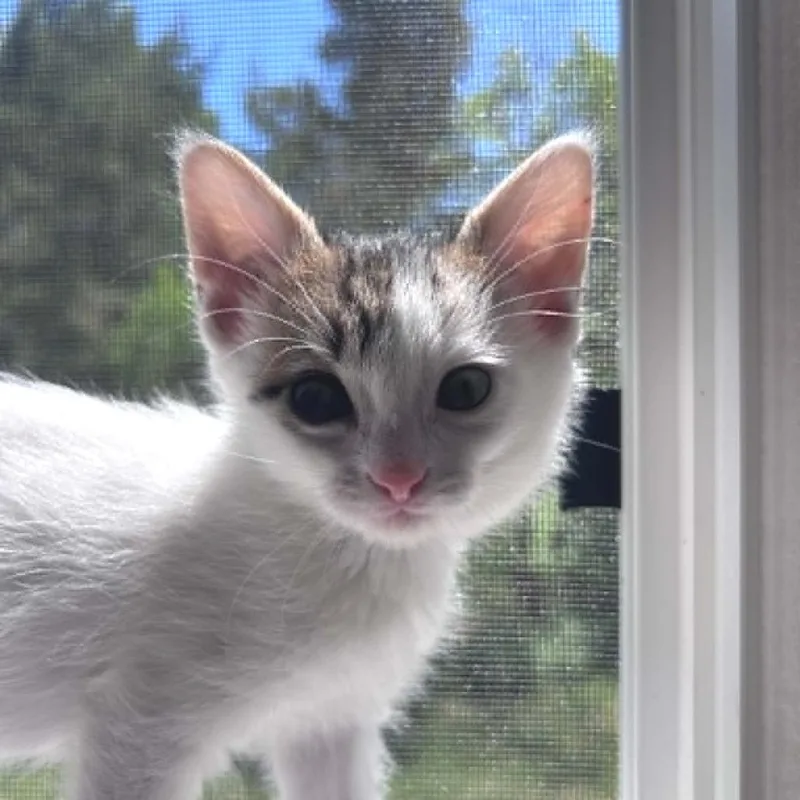 Betty thumbnail 5