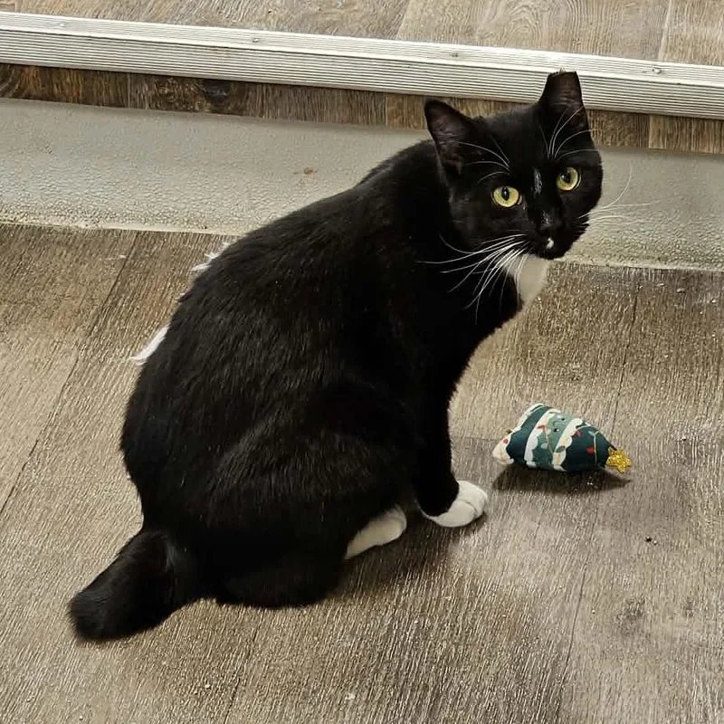 Billy Bob thumbnail 2