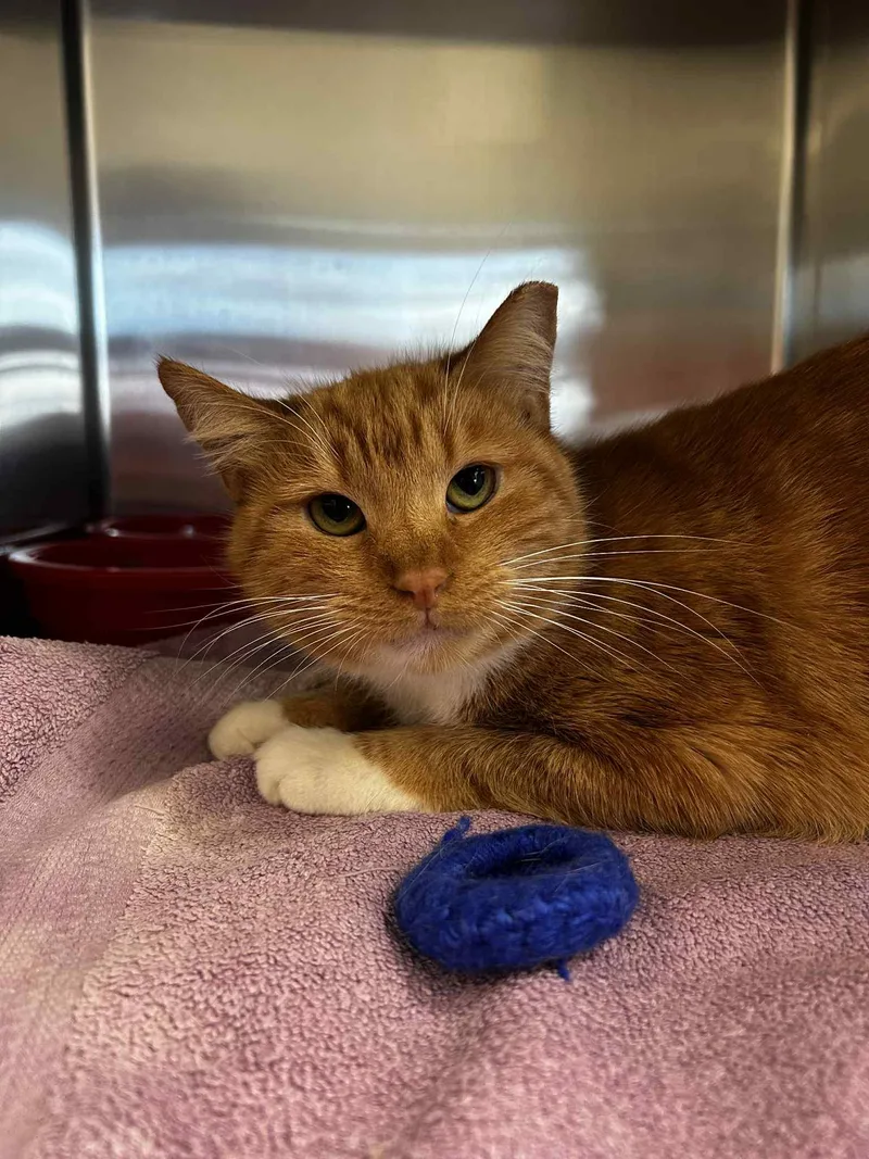 Holly In The Hallway