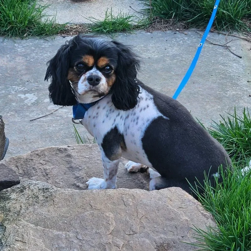 Juliette thumbnail 2