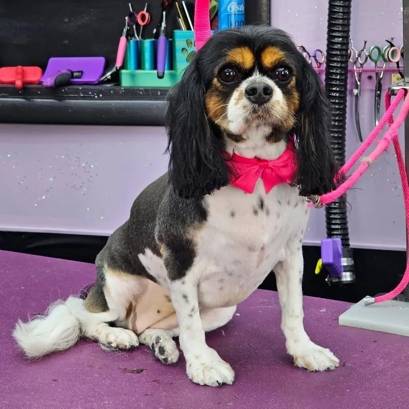 Juliette thumbnail 4