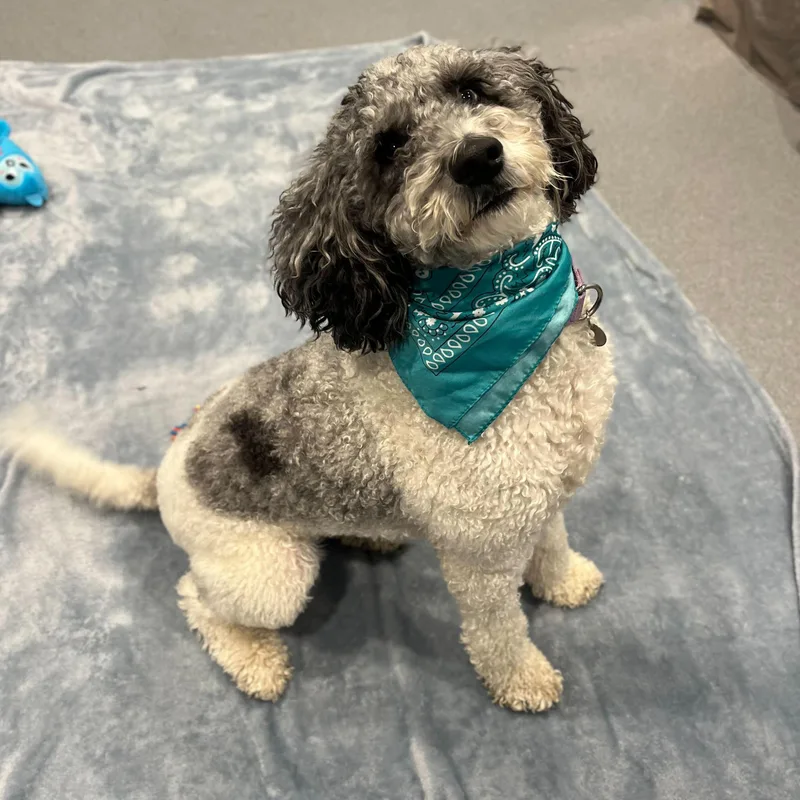 Luna Mae thumbnail 2