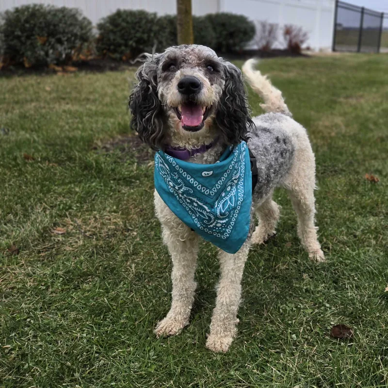 Luna Mae thumbnail 4