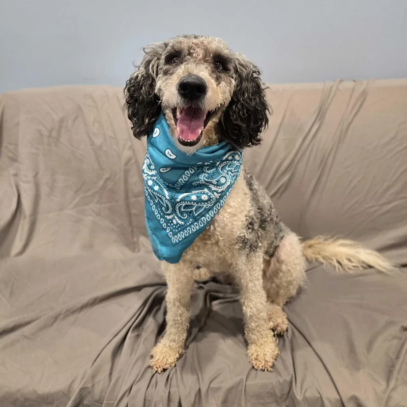 Luna Mae thumbnail 5