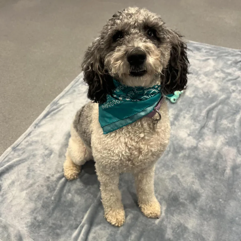 Luna Mae thumbnail 6