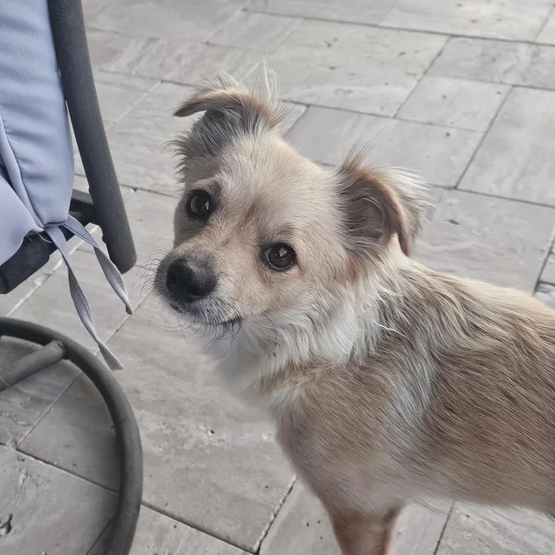 Winnie