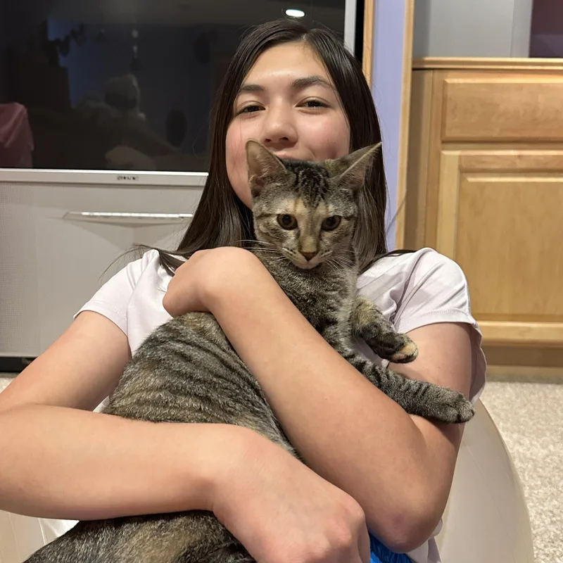 Lily thumbnail 3