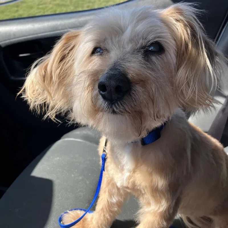 Justice thumbnail 2