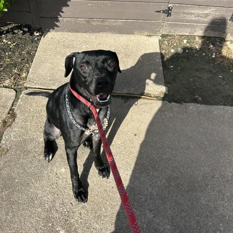 Luna