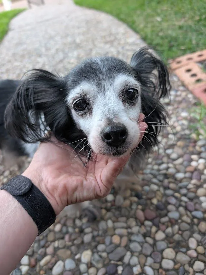 Minnie  ME thumbnail 3