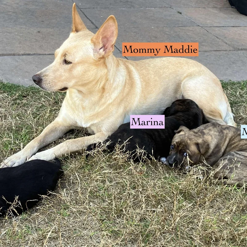 Maddie thumbnail 5