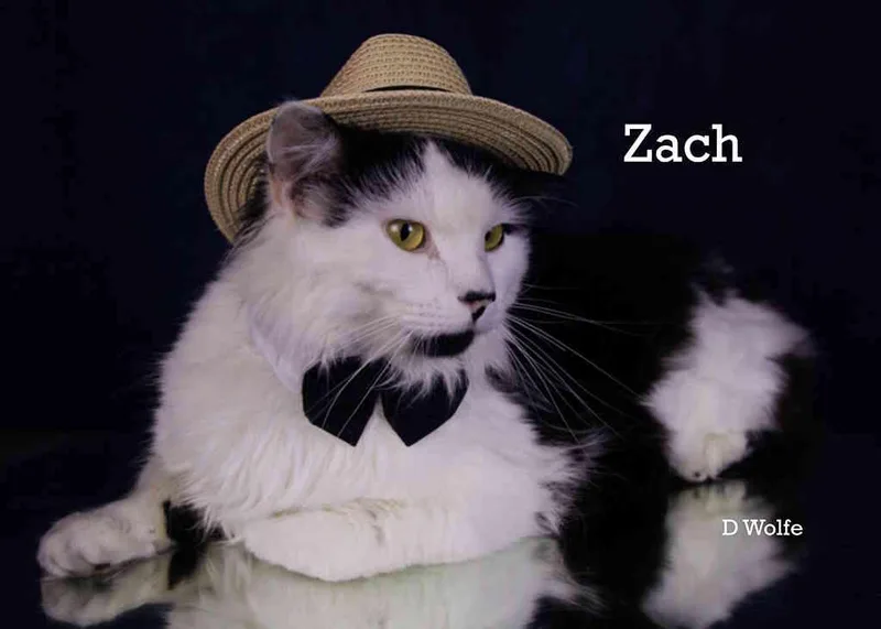 Zach thumbnail 2