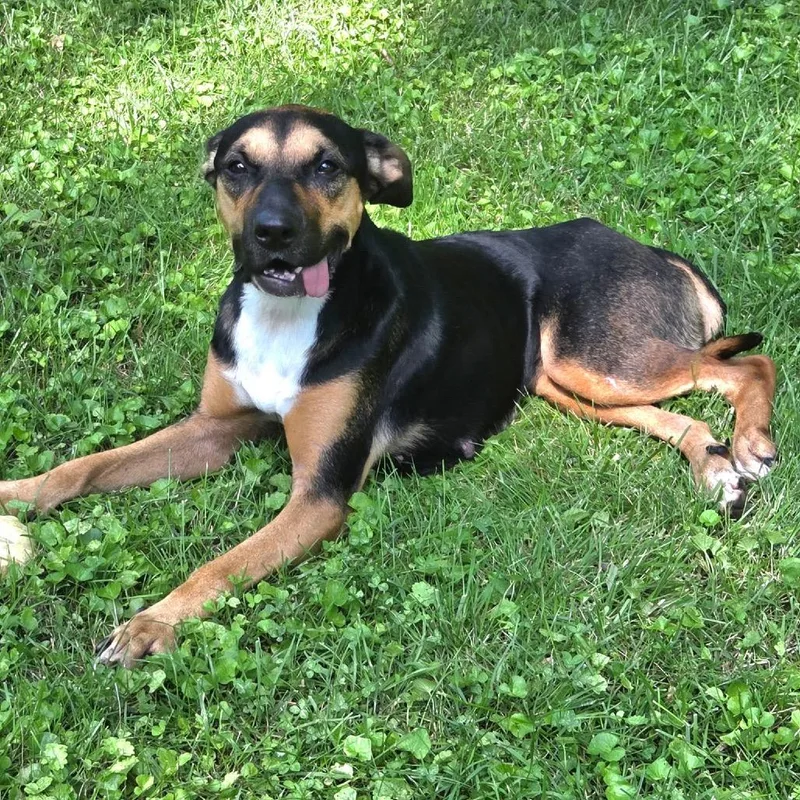 Libby thumbnail 6