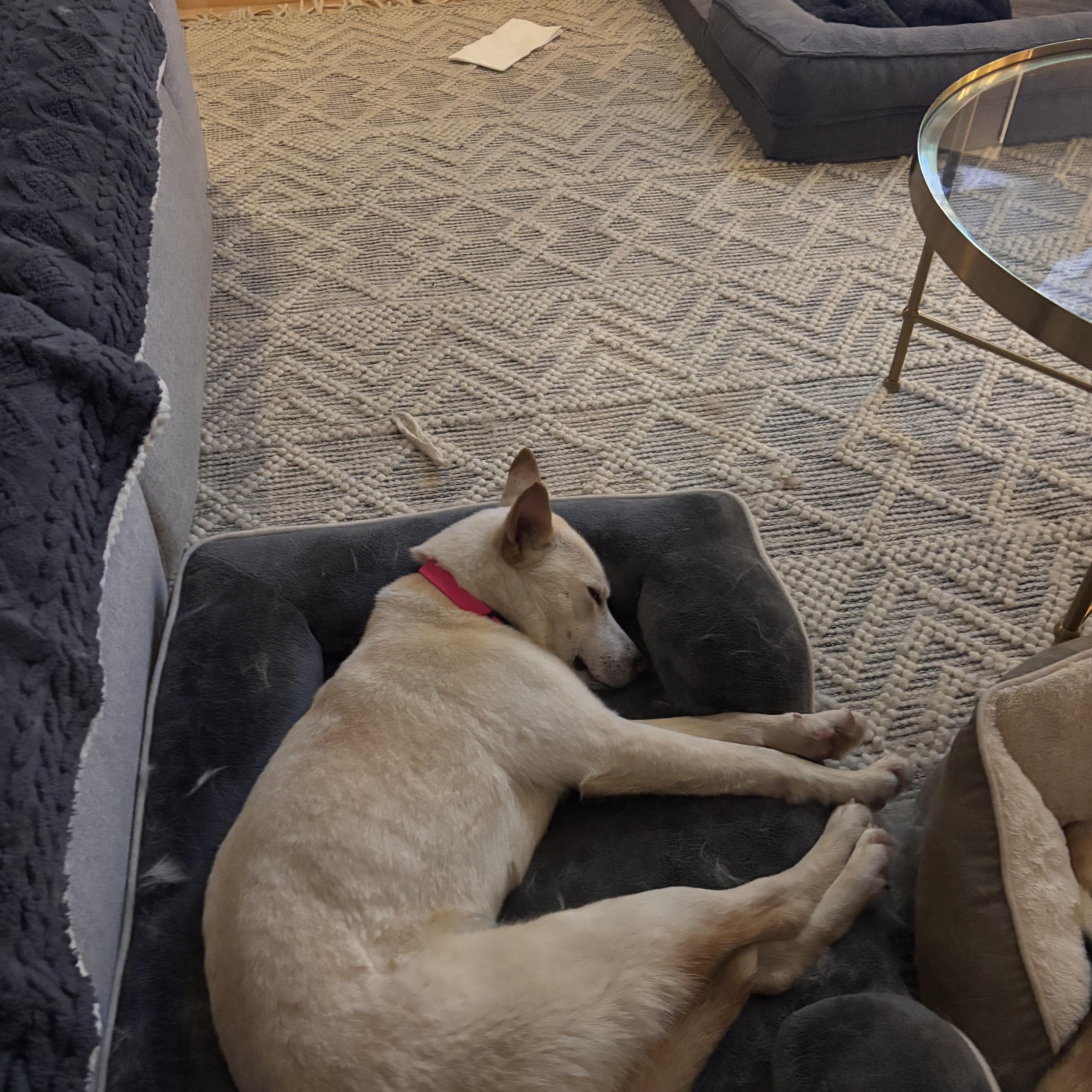 Snow White thumbnail 6