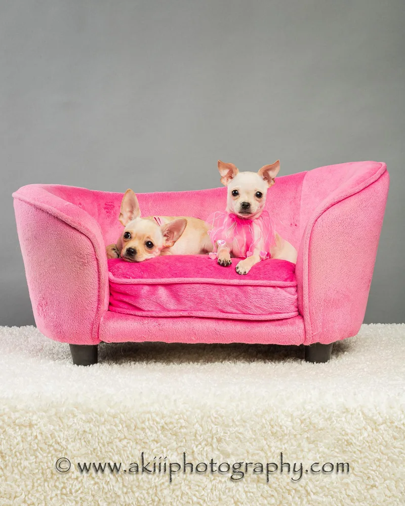 Itsy and Bitsy  thumbnail 4