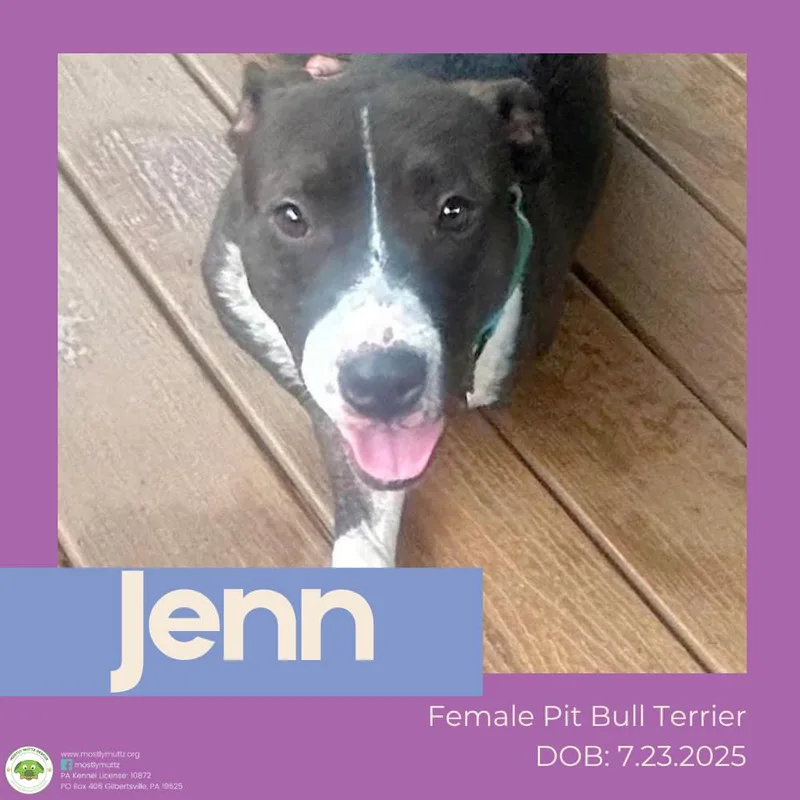 Jenn thumbnail 2