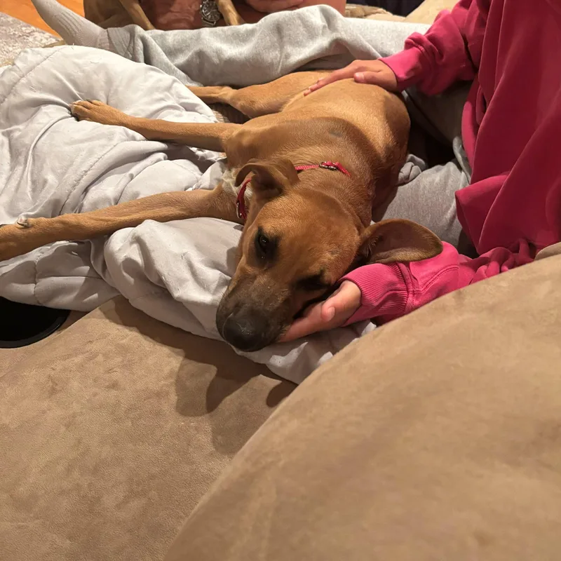 Copper