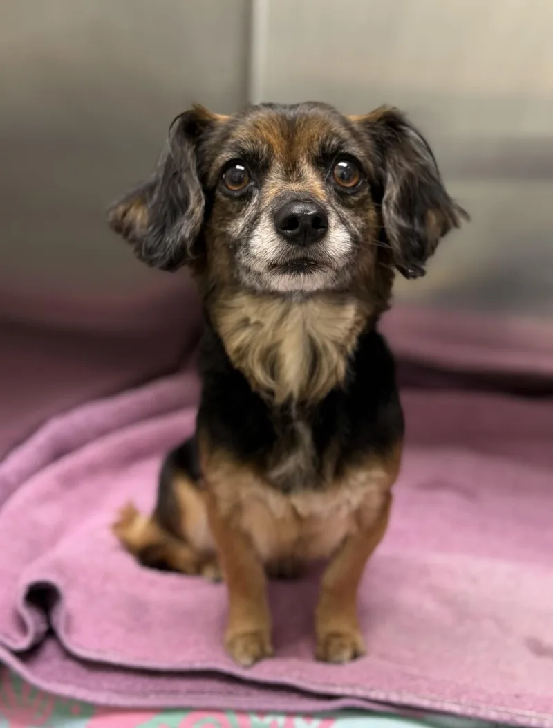Tia thumbnail 6