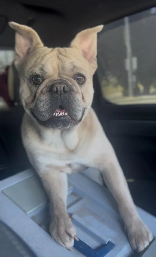 Tyson