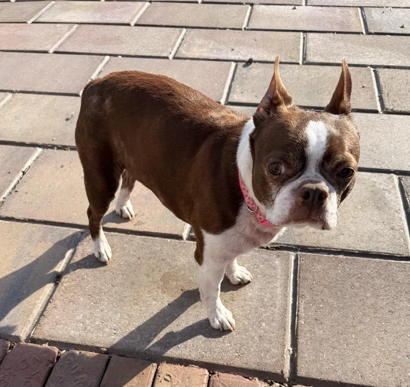 Murphy In Ia thumbnail 2